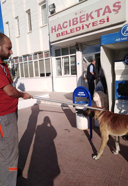 Sokak Hayvanlarinin Tedavileri Yapiliyor Hacibektas Belediyesi