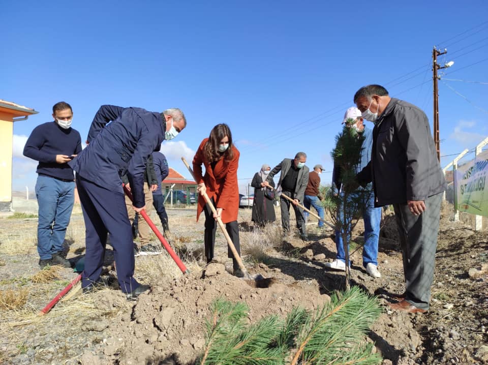 11 Kasım Milli Ağaçlandırma Günü