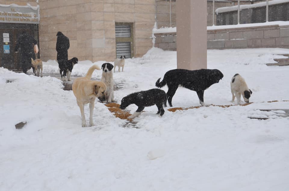 Her Şey Sevmek ve İnanmakla Başlar.