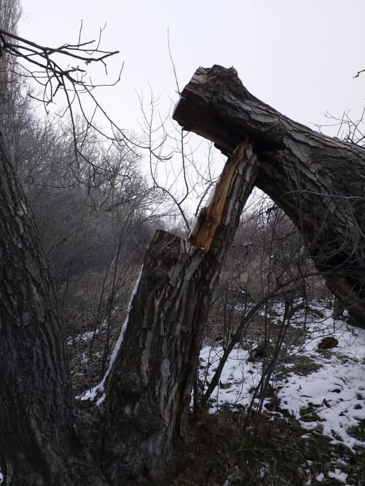 Kamuoyuna Saygıyla Duyurulur