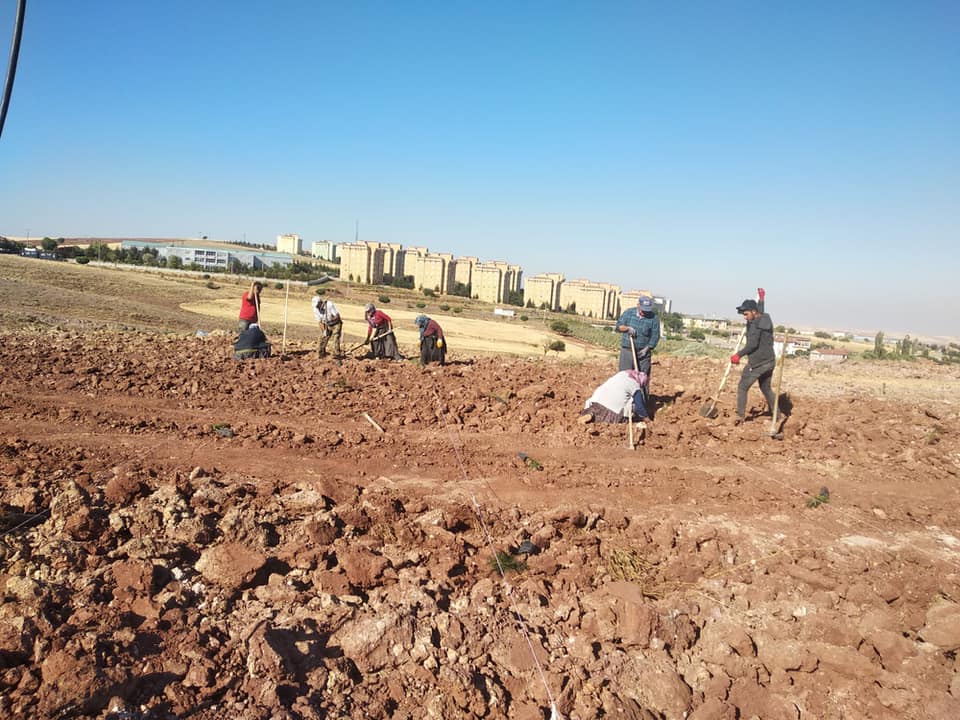 Her Şey Sevmek ve İnanmakla Başlar.