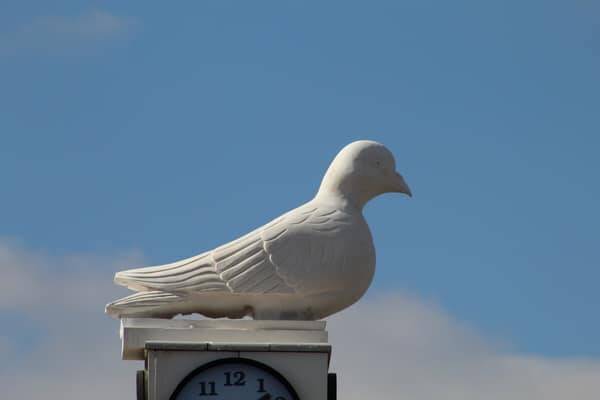 Her Şey Sevmek ve İnanmakla Başlar.