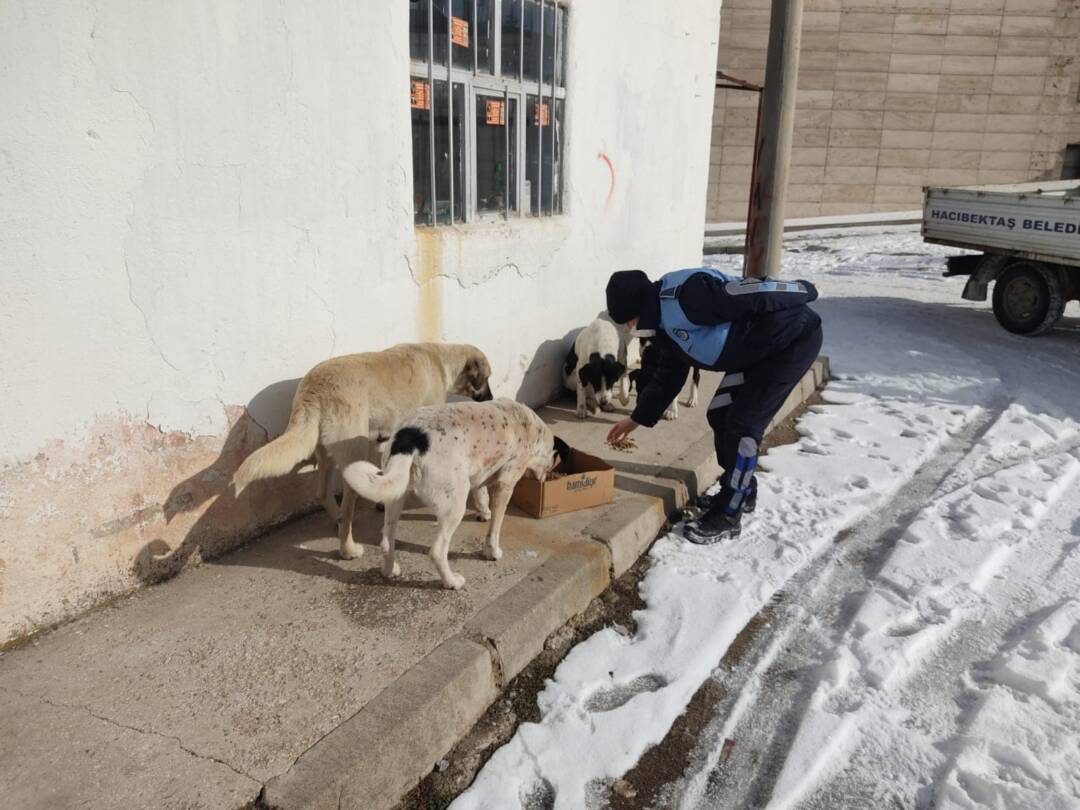 Her Şey Sevmek ve İnanmakla Başlar.