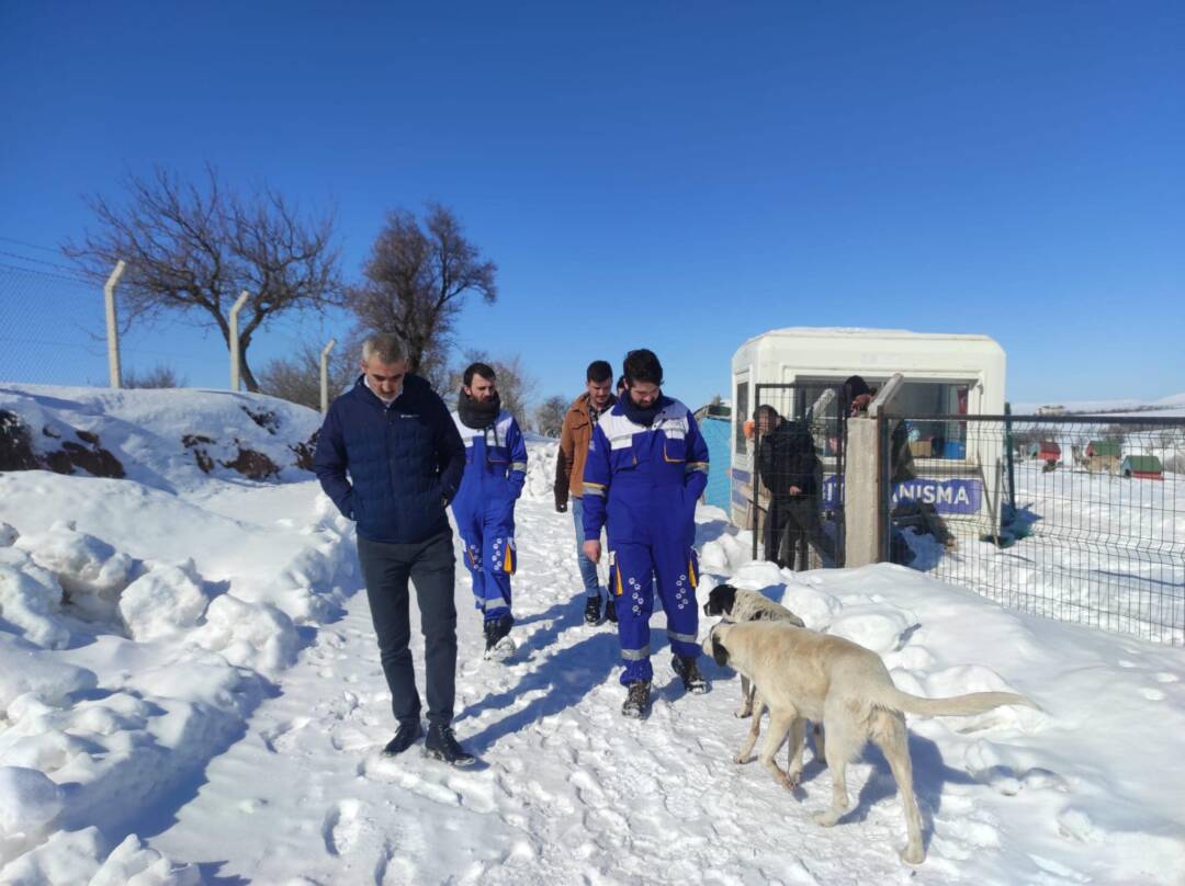 Hayvan Hakları Federasyonu Ziyareti