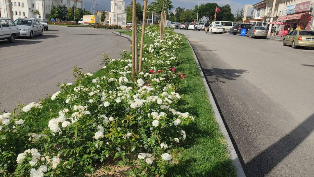 Her Şey Sevmek ve İnanmakla Başlar.