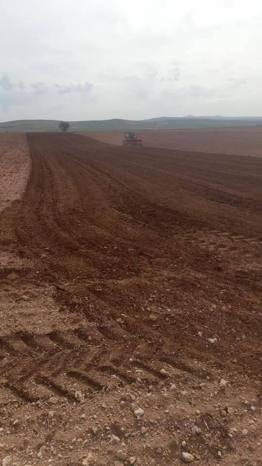 30.000 m2 Tarlamıza Nohut ekimini Gerçekleştirdik.