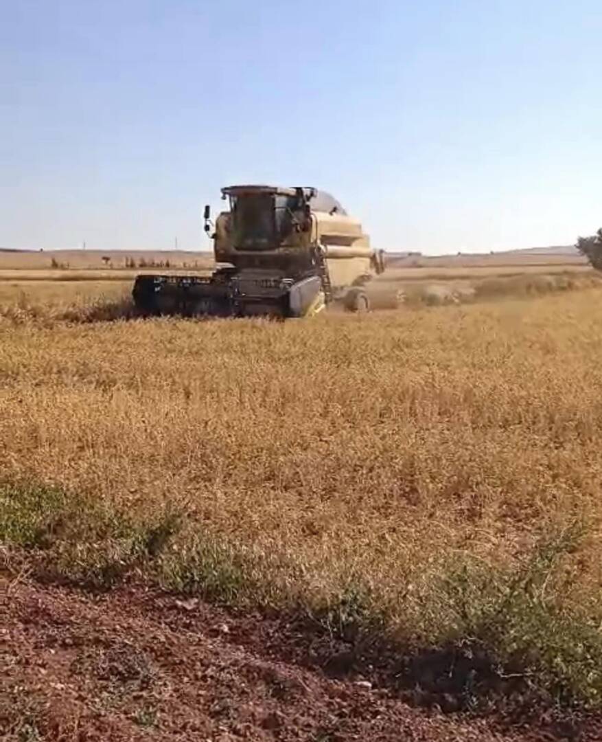 Her Şey Sevmek ve İnanmakla Başlar.