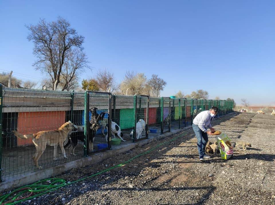 Sokak Canlarımızı Unutmadık.