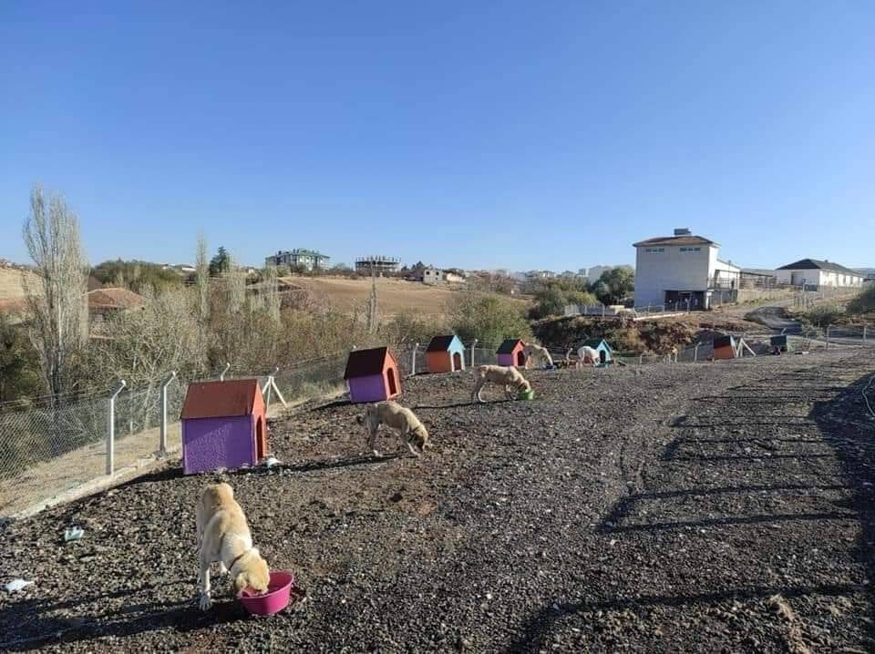 Değerli Hemşehrilerim