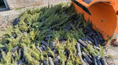 Teşekkürler Eşçin Altuğ