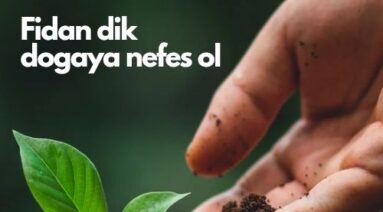 Fidan Dik, Doğaya Nefes Ol!