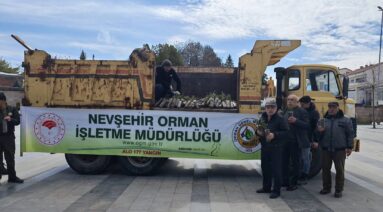 4000 Fidanları Vatandaşlarımızla Buluşturduk