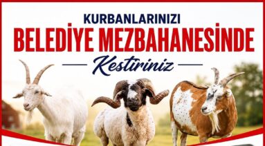 Çok kıymetli ziyaretçilerimiz