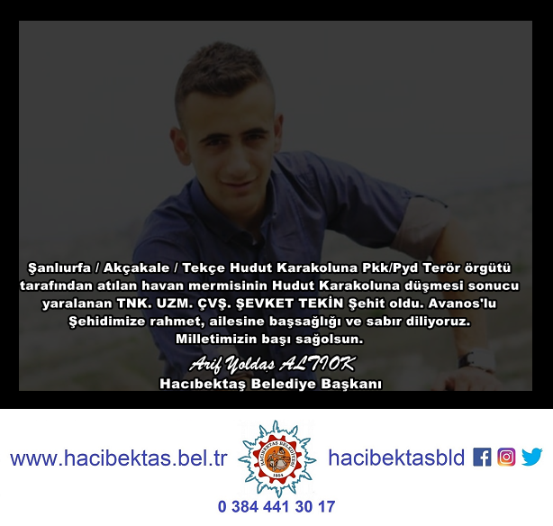 Free Casino Slot Game