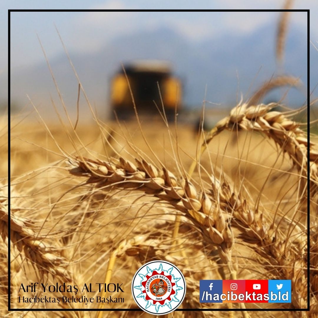 Bereketli Hasat Yılı Dileriz.