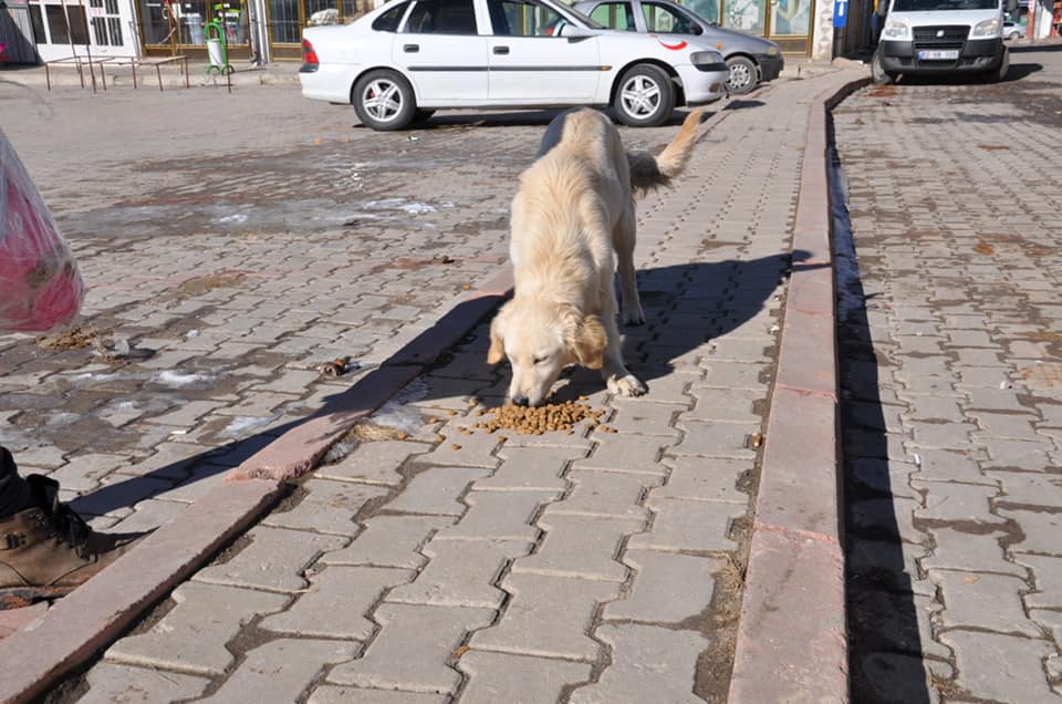 Her Şey Sevmek ve İnanmakla Başlar