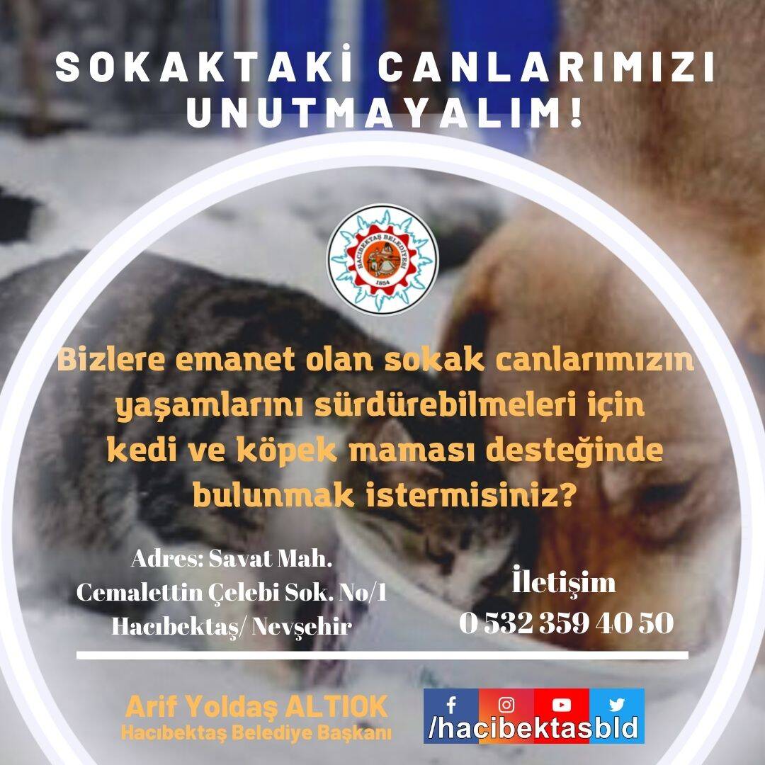 Sokaktaki Canlarımızı Unutmayalım!