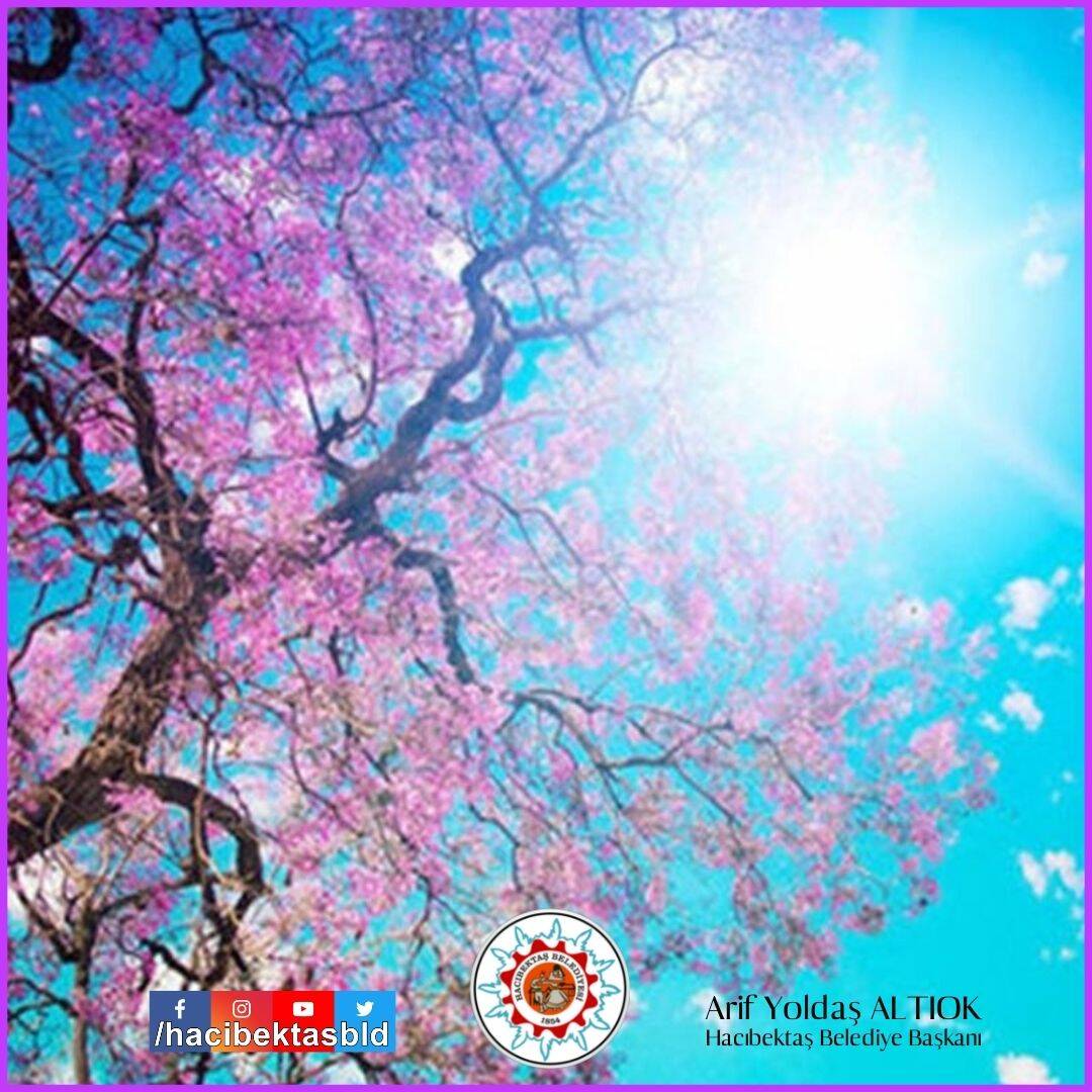 Nevruz Bayramınız Kutlu Olsun