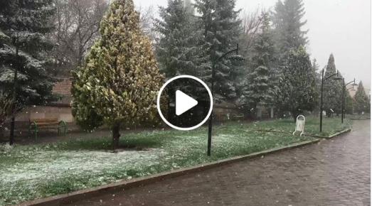 Güzel günler göreceğiz, güneşli günler.