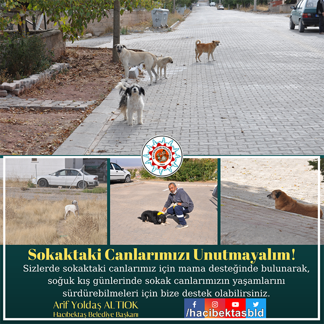 Sokaktaki Canlarımızı Unutmayalım!